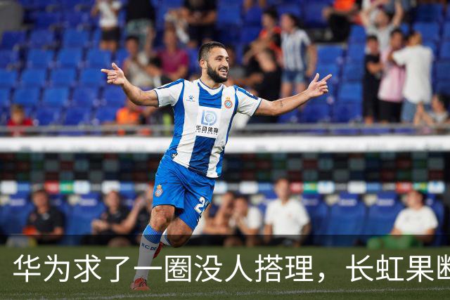 华为求了一圈没人搭理，长虹果断接盘
